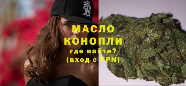 гидра Новодвинск