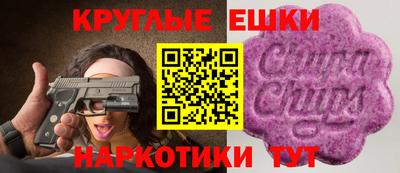 гидропоника Будённовск