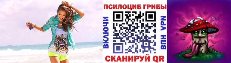 Псилоцибиновые грибы Psilocybe  omg tor  Саки 
