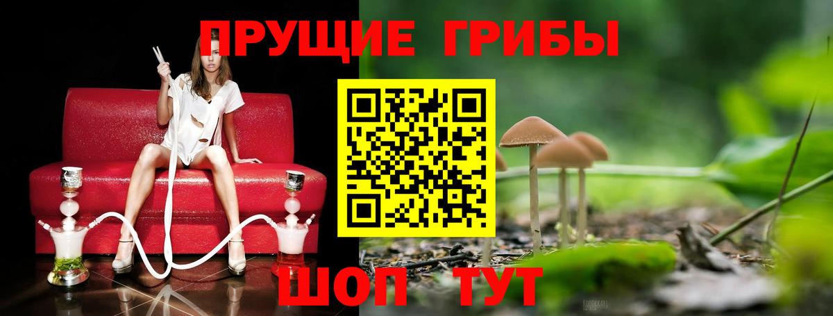 Галлюциногенные грибы Psilocybe  Псилоцибиновые грибы ЛСД  Саки 